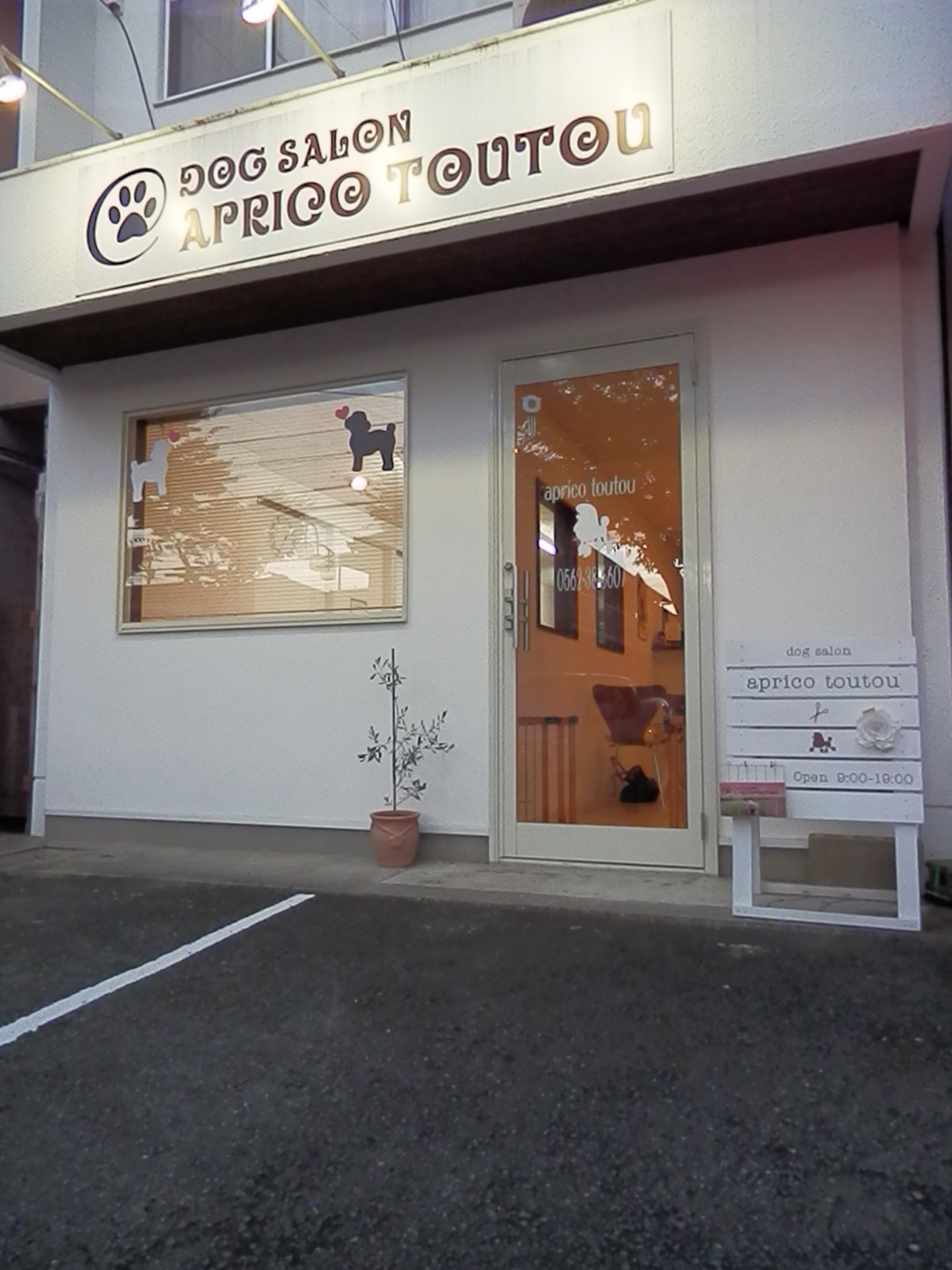 aprico toutou 外観