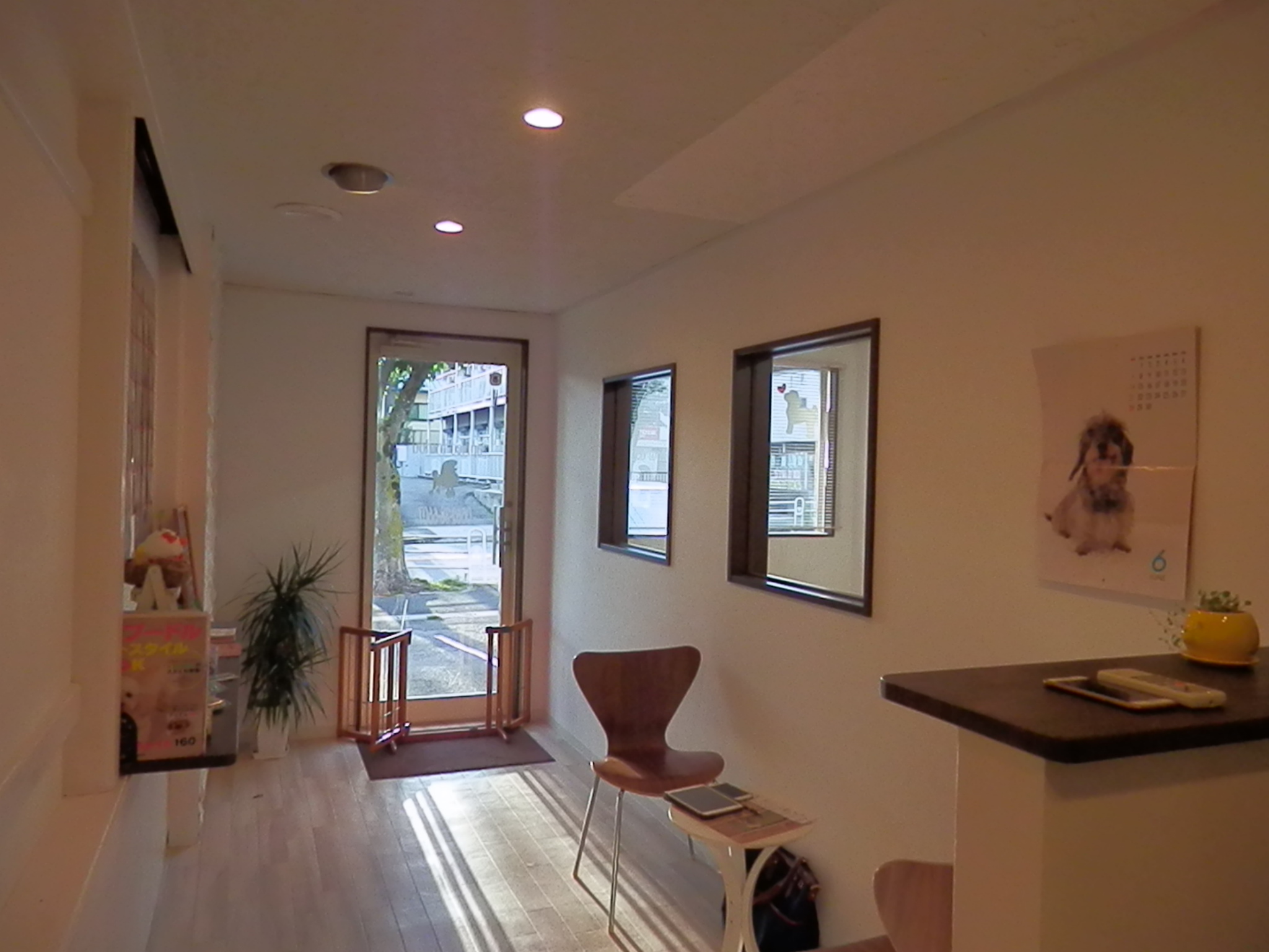 aprico toutou 店内風景